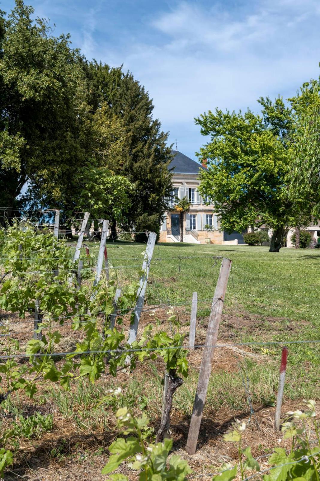 Maison Groleau Mombrier Dış mekan fotoğraf