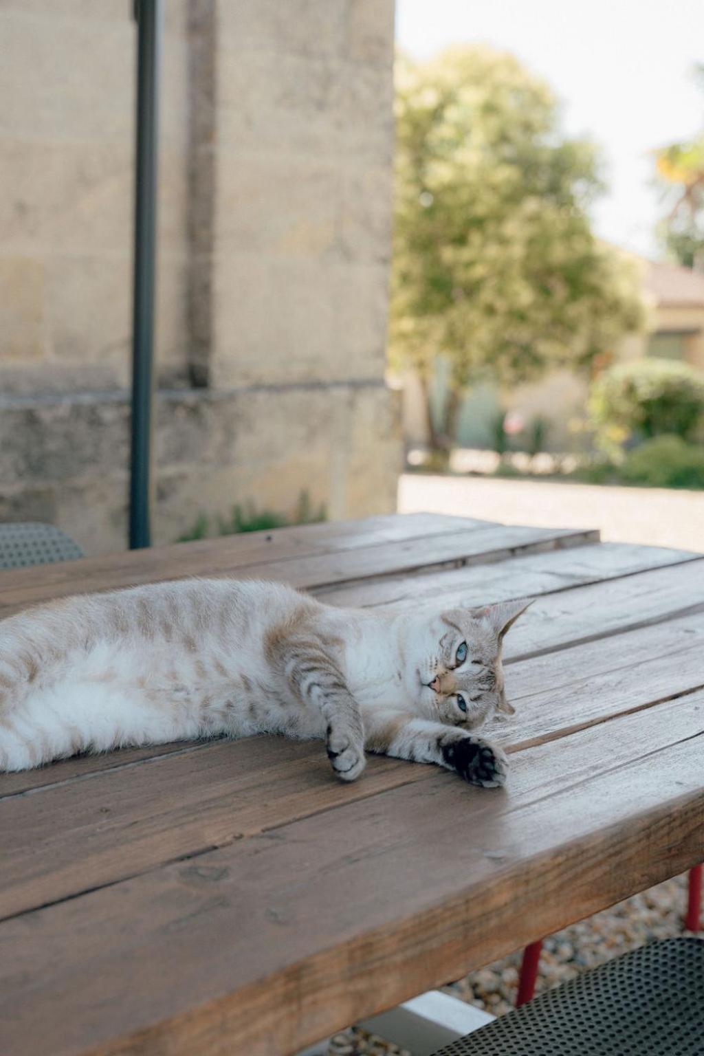Maison Groleau Mombrier Dış mekan fotoğraf